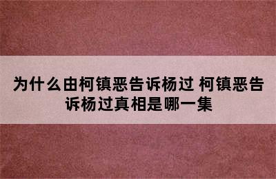 为什么由柯镇恶告诉杨过 柯镇恶告诉杨过真相是哪一集